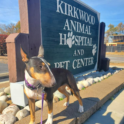 Kirkwood Animal Hospital Signage