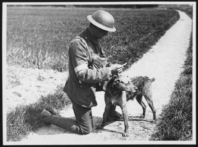old war photo of soldier and dog